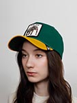 Бейсболка GOORIN BROTHERS арт. 101-1328 (зеленый / желтый)
